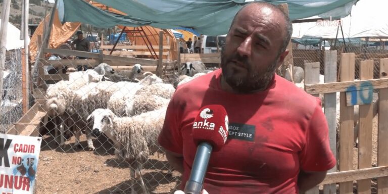 ankarali-besici-vekilin-ucuza-et-yedigi-yerde-vatandas-ot-yiyiyor-KveKMuVO.jpg